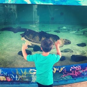 Meet your Posher, Mia